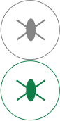 悟空体育高效抗菌