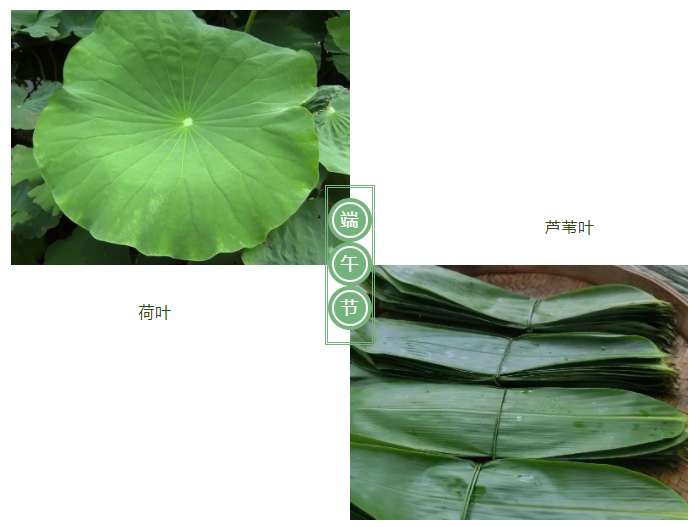 悟空体育医纺