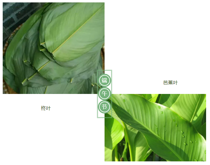 悟空体育医纺