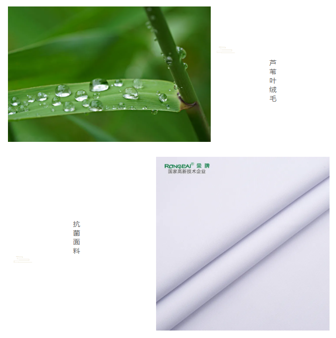 悟空体育医纺